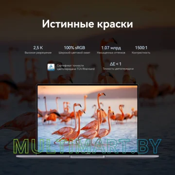 Ноутбук Huawei MateBook 16S CREFG-X (53013SCY) картинка 10